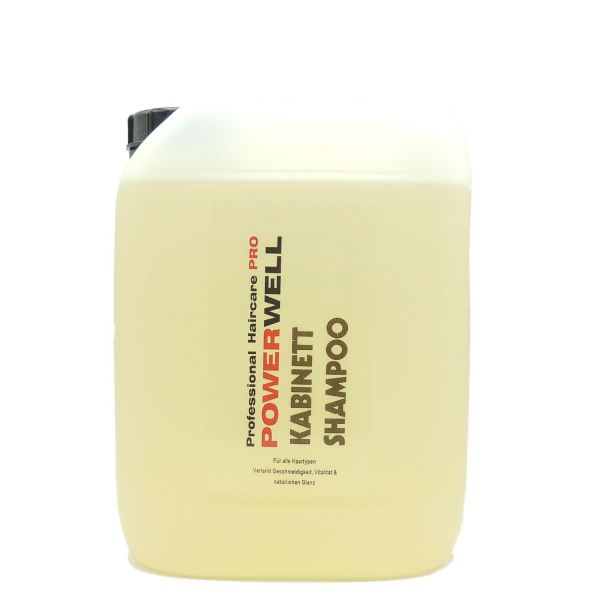 POWERWELL Kabinett Shampoo 5 L 2025