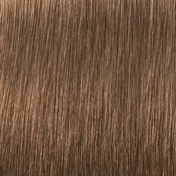 Schwarzkopf IGORA ROYAL Nude Tones 8-46 Hellblond Beige Schoko, Tube 60 ml